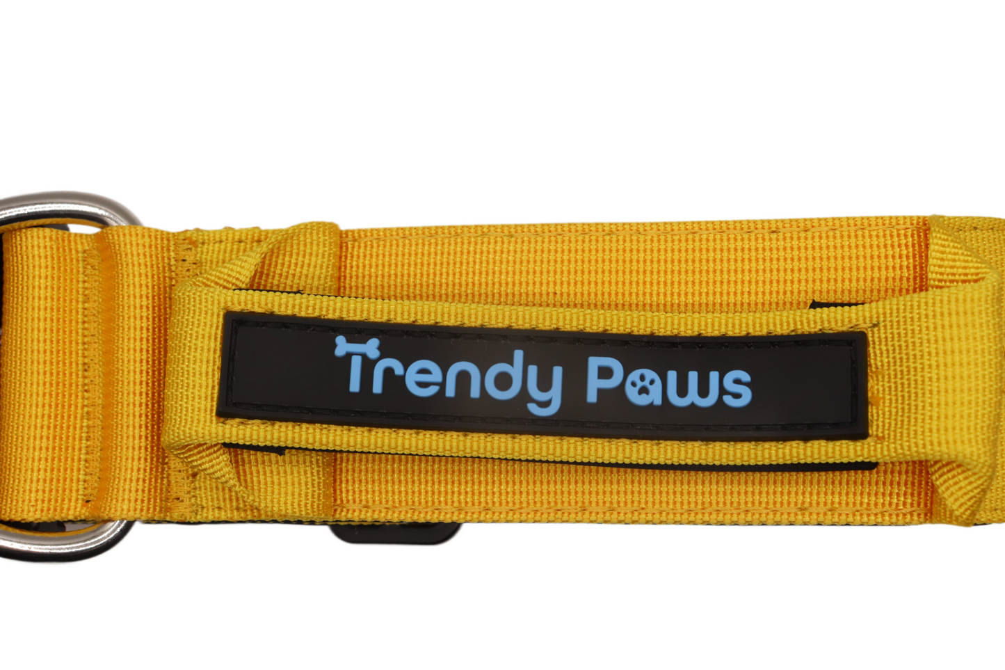 Paw-some Yellow Collar