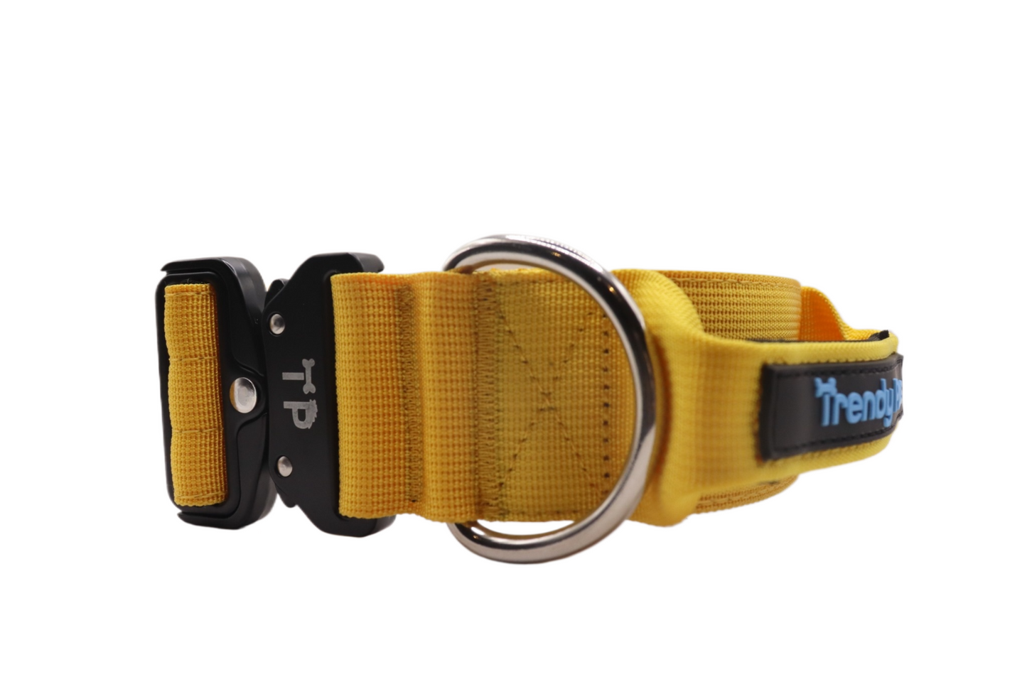 Paw-some Yellow Collar