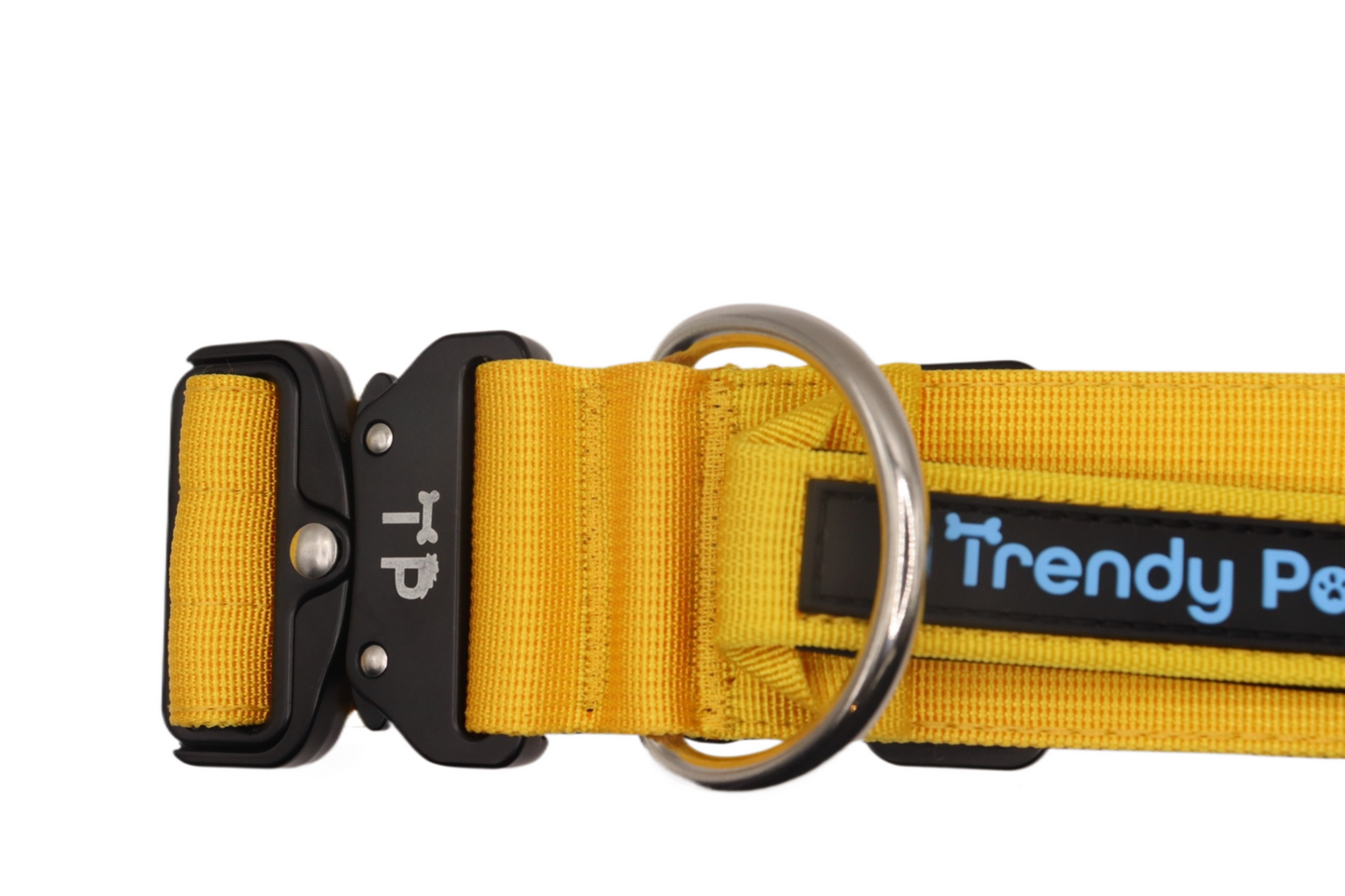Paw-some Yellow Collar