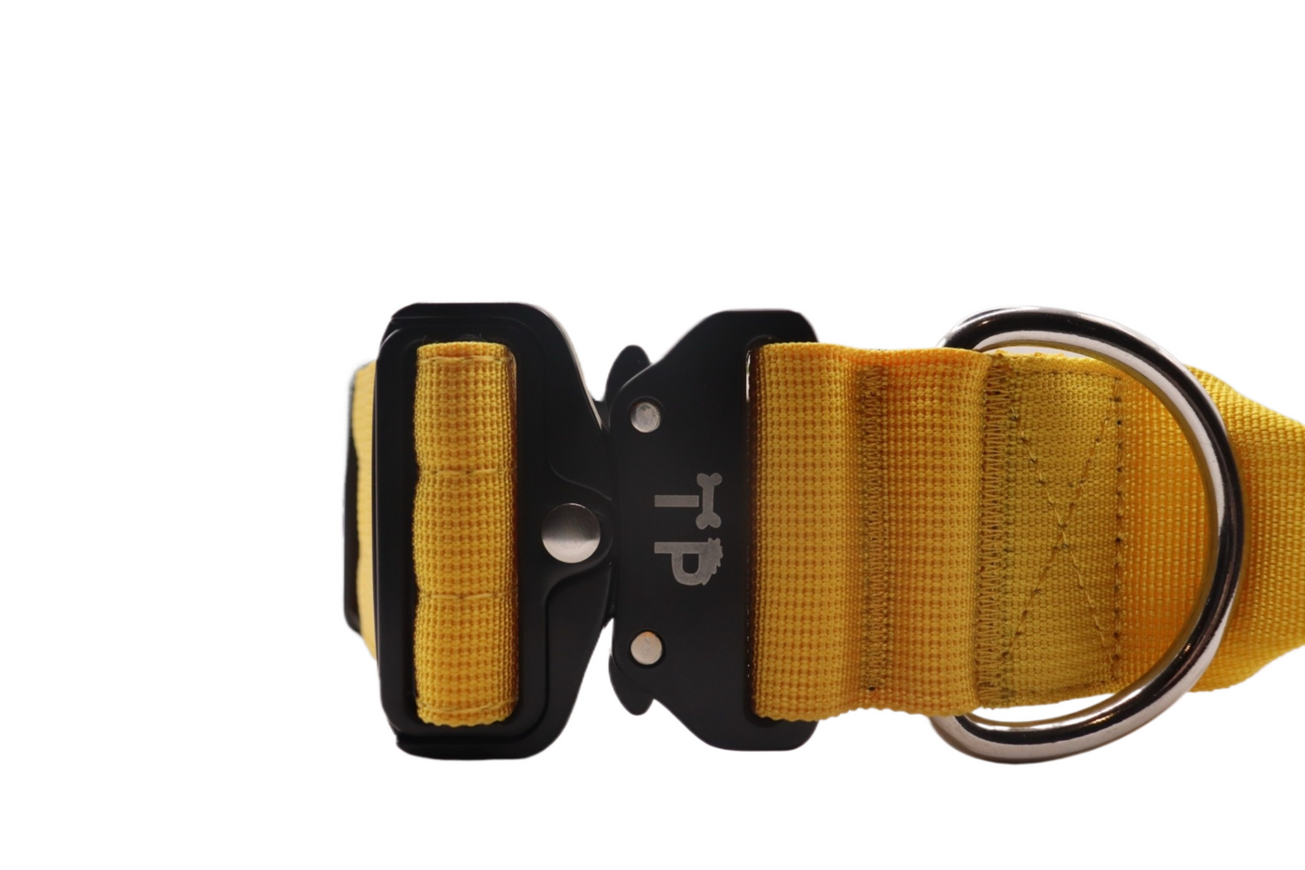 Paw-some Yellow Collar