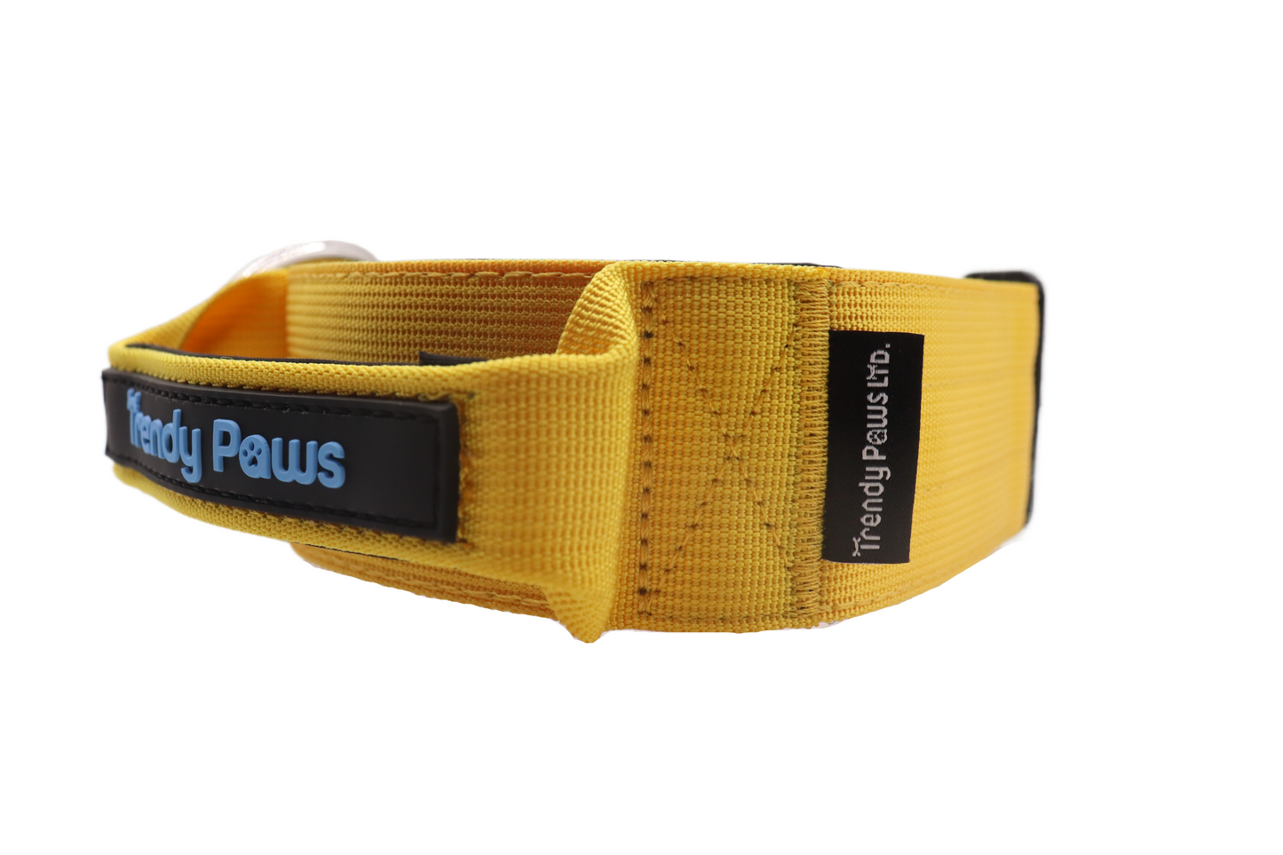 Paw-some Yellow Collar