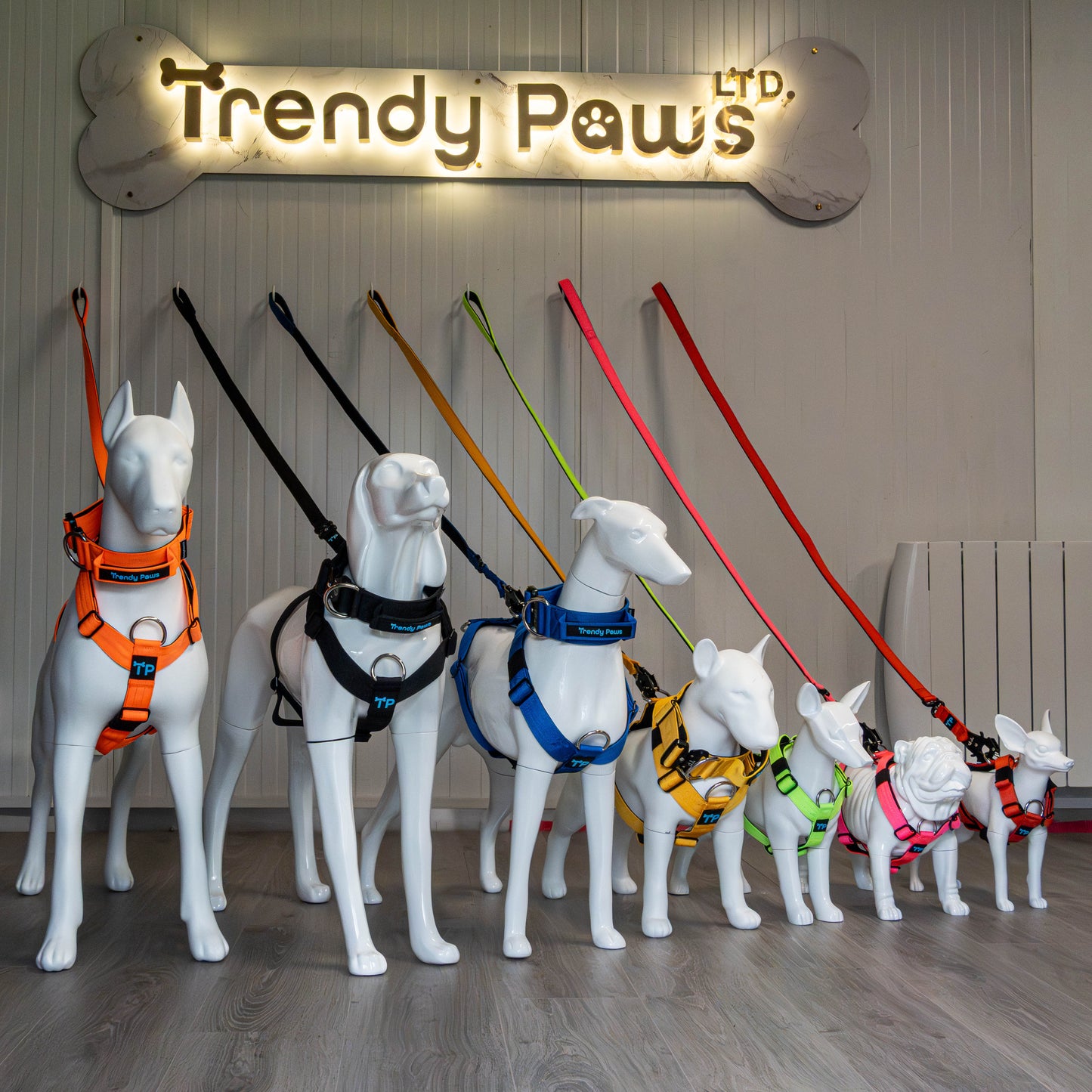 Complete Set: Harness, Collar & Clip Lead