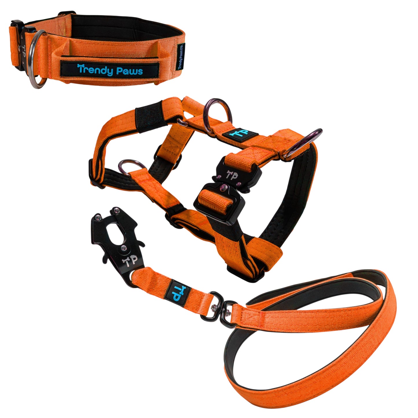 Complete Set: Harness, Collar & Clip Lead