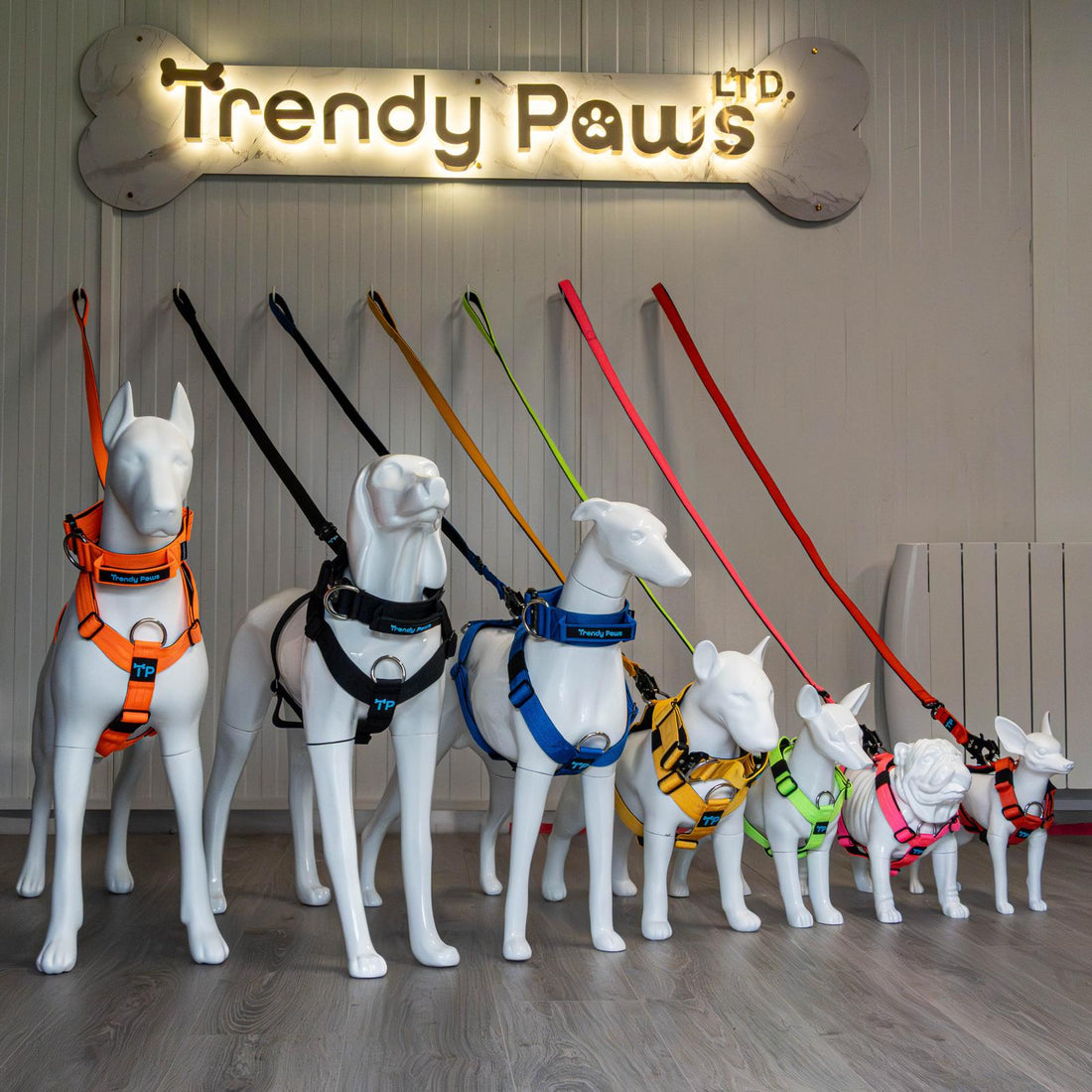How to Choose the Best Dog Clip for Your Pet’s Coat?