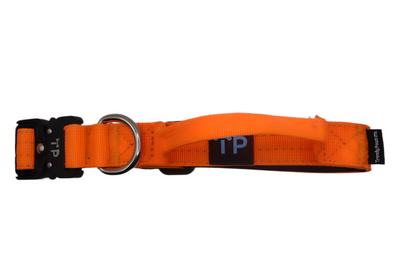 Orange Collar