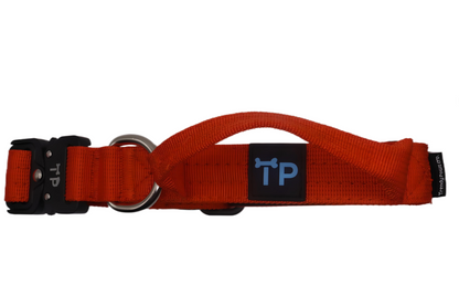 Burnt Orange Collar