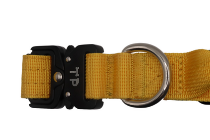 Close-up view of a yellow tactical dog collar with a sturdy metal buckle and D-ring attachment.