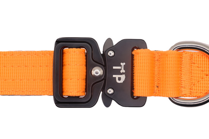 Orange Collar