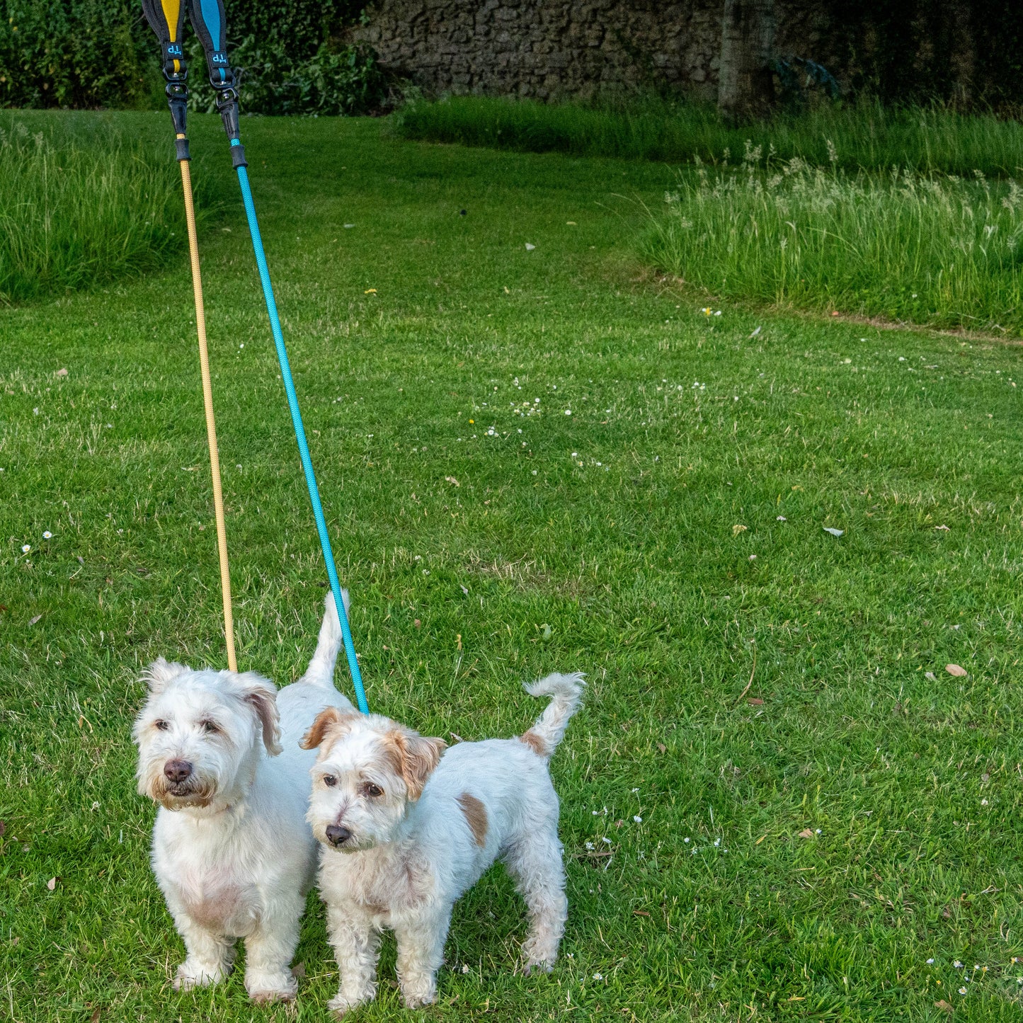 TP Slip Lead-Blue
