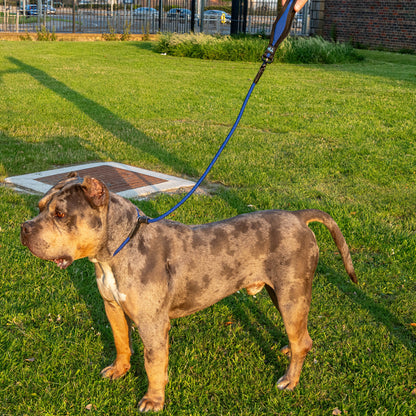 TP Slip Lead-Midnight Blue