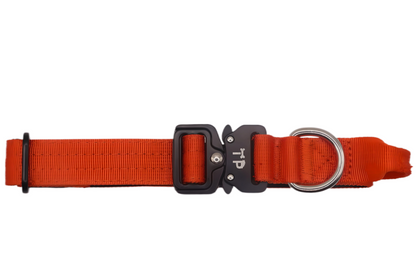 Burnt Orange Collar