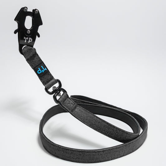 Paw-some Black Dog Lead