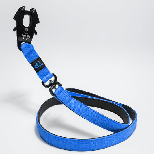 Paw-some Blue Dog Lead