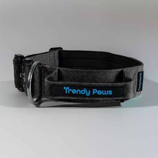 Paw-some Black Collar