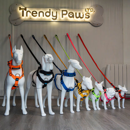 Complete Set: Harness, Collar & Clip Lead