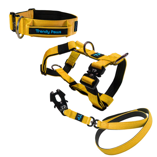 Complete Set: Harness, Collar & Clip Lead