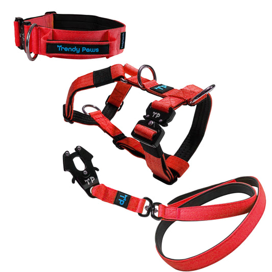 Complete Set: Harness, Collar & Clip Lead