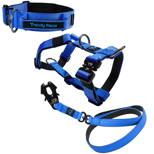 Complete Set: Harness, Collar & Clip Lead