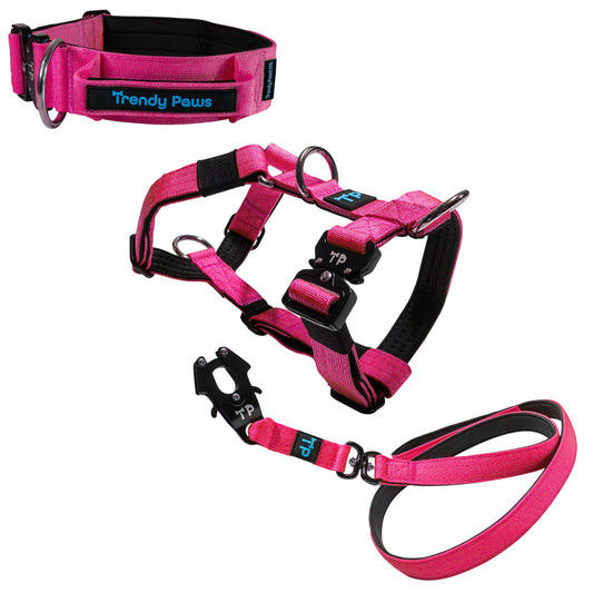 Complete Set: Harness, Collar & Clip Lead