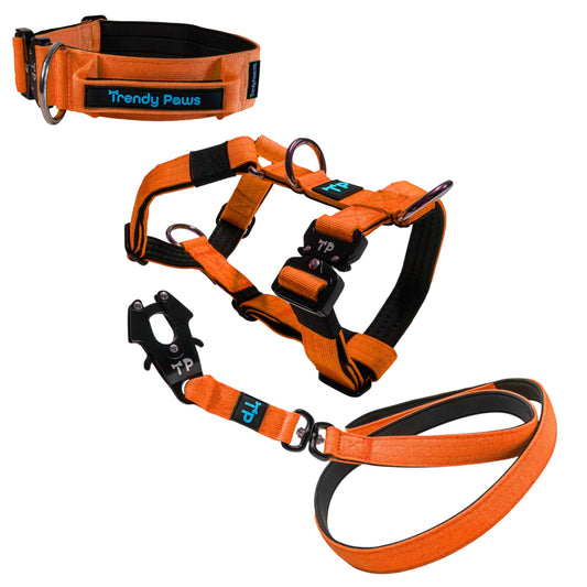 Complete Set: Harness, Collar & Clip Lead