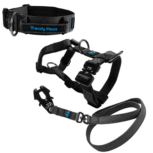 Complete Set: Harness, Collar & Clip Lead