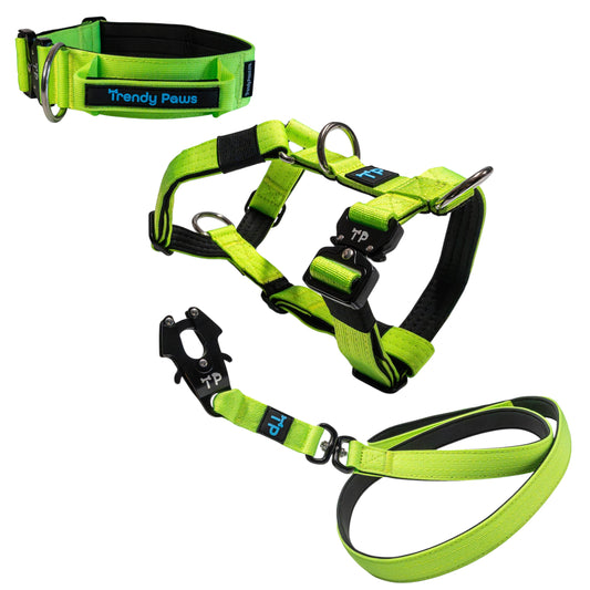 Complete Set: Harness, Collar & Clip Lead