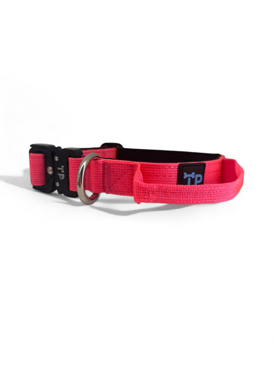Pup Paw-some Pink Collar