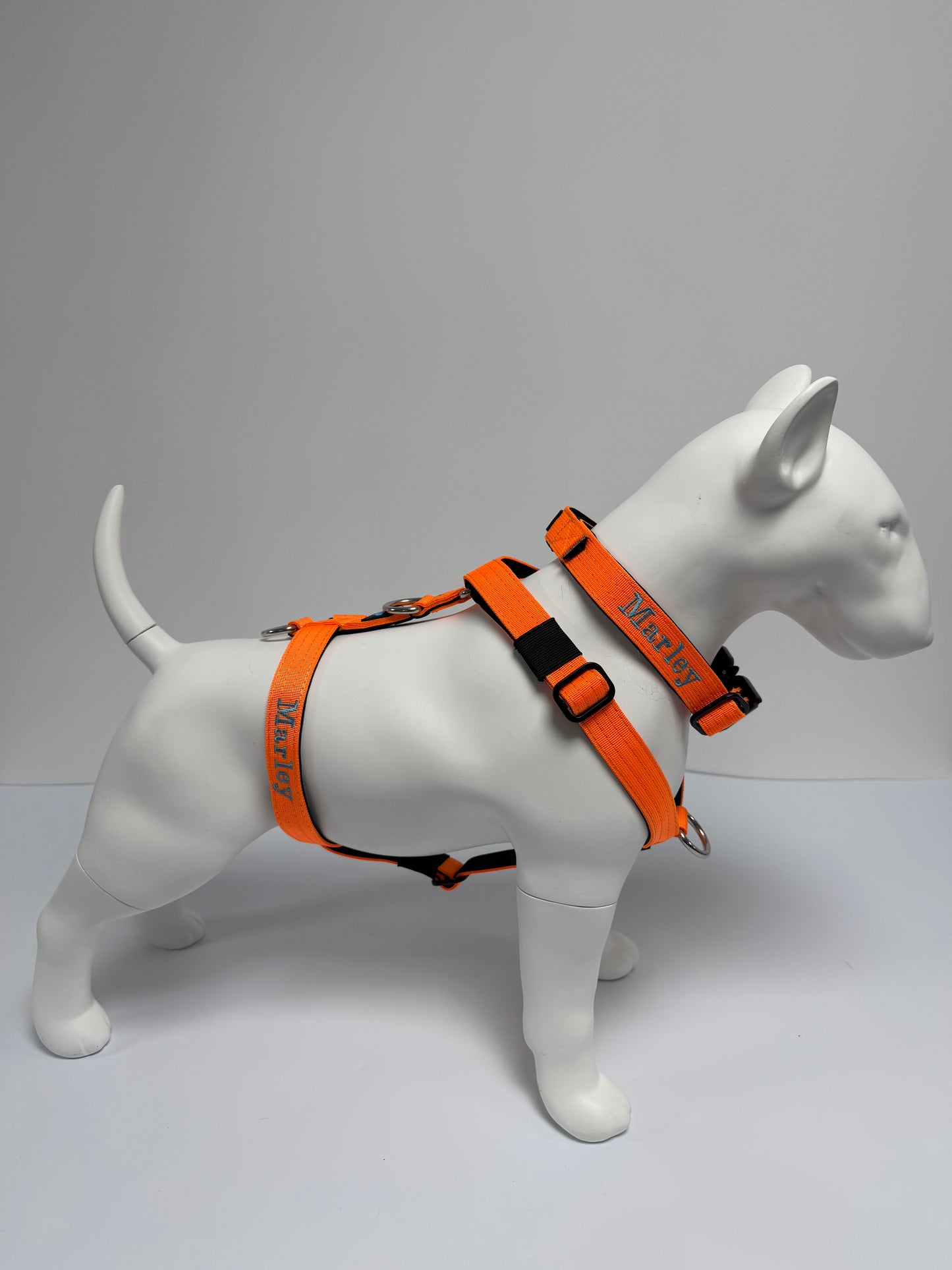 Trendy Paws  Combat Collar with Safety Handle - Orange