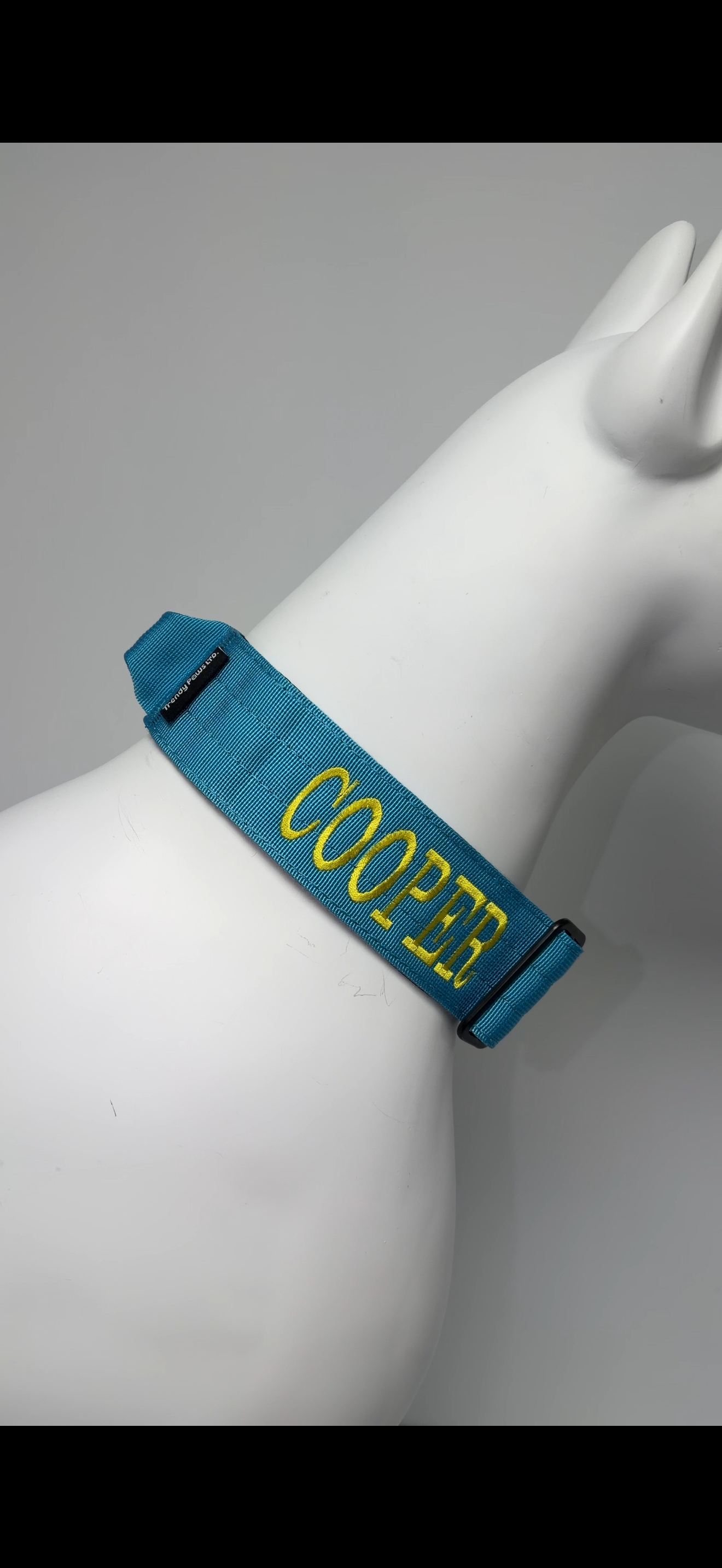 Complete Set: Harness, Collar & Clip Lead - Light Blue