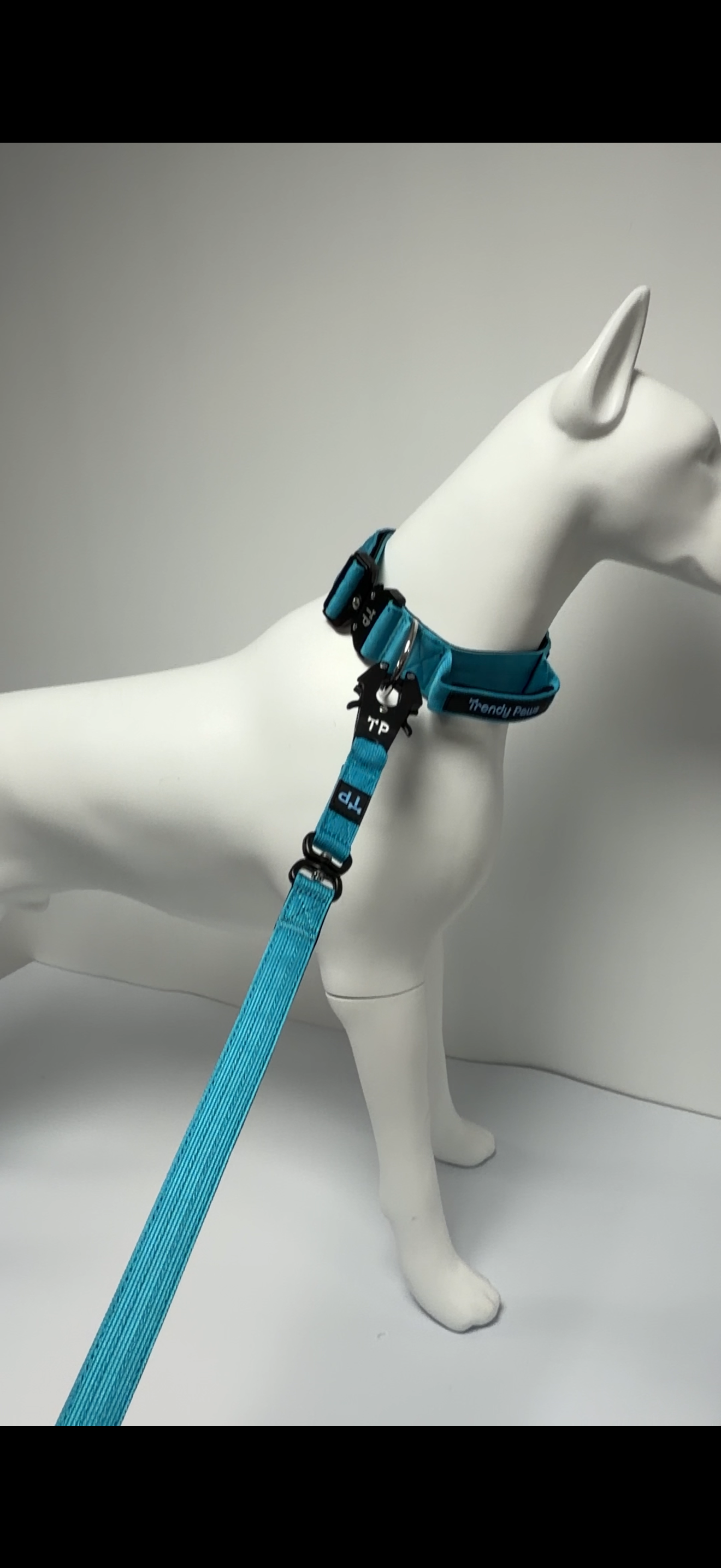 Complete Set: Harness, Collar & Clip Lead - Light Blue