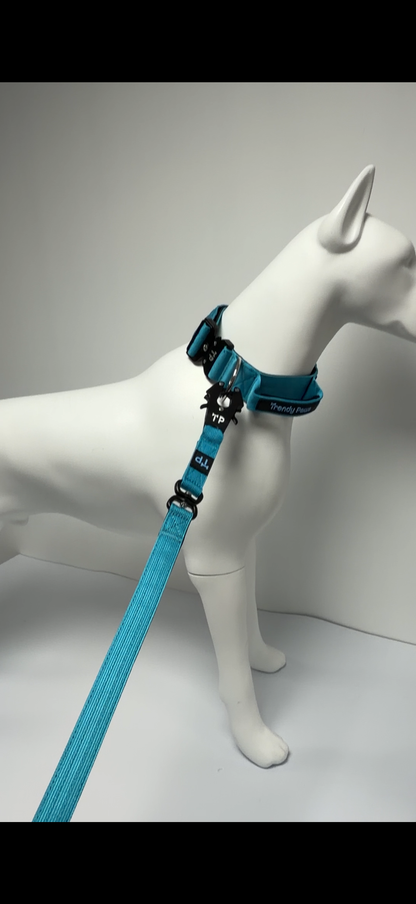Complete Set: Harness, Collar & Clip Lead - Light Blue
