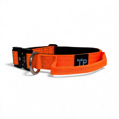 Pup Paw-some Burnt Orange Collar