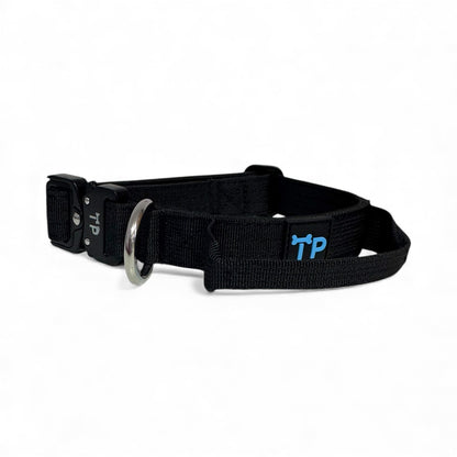 Pup Paw-some Burnt Orange Collar