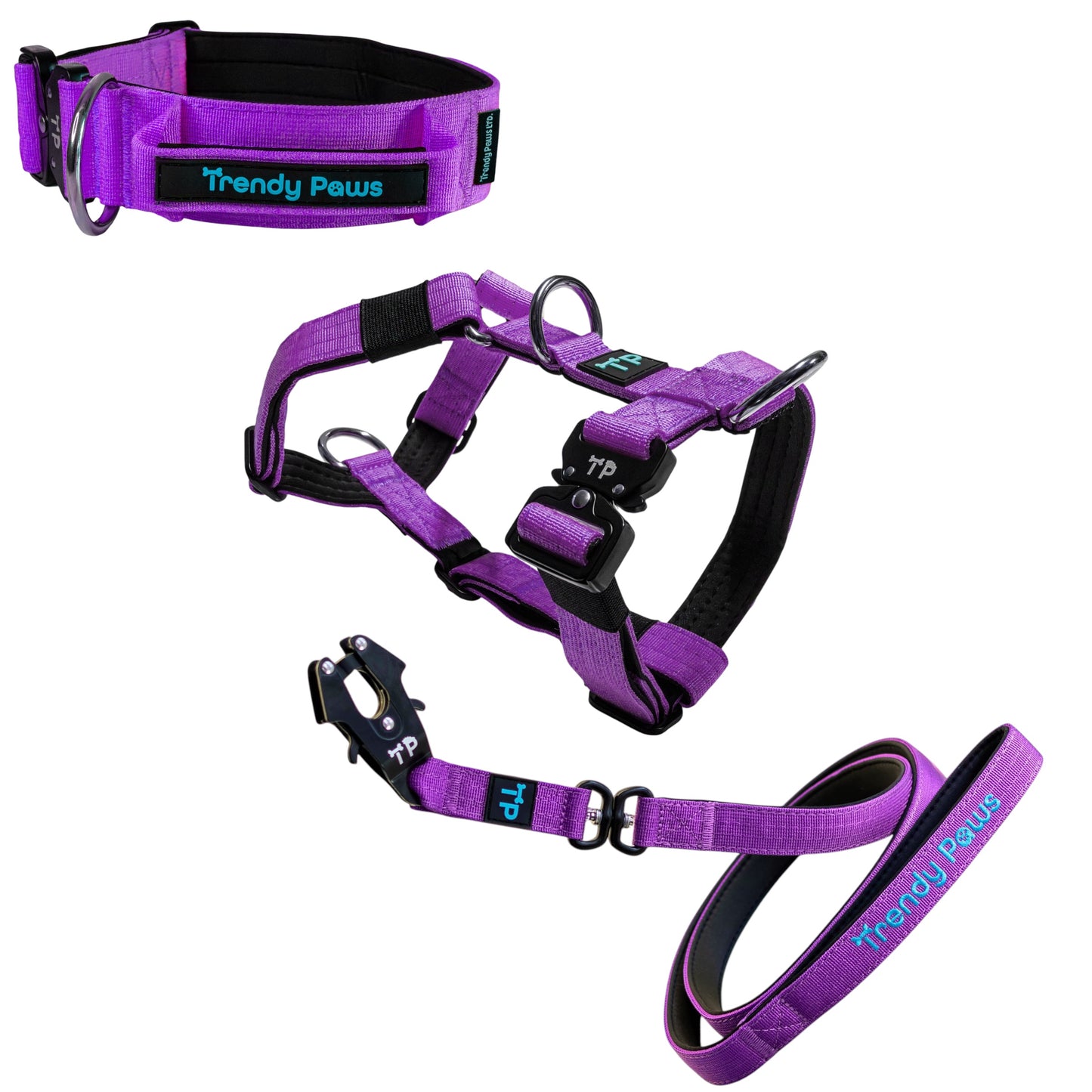 Complete Set: Harness, Collar & Clip Lead - Purple