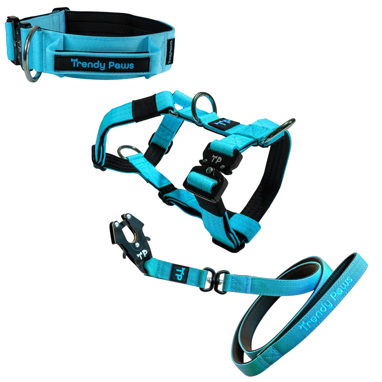 Complete Set: Harness, Collar & Clip Lead - Light Blue