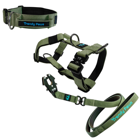 Complete Set: Harness, Collar & Clip Lead - Military Green