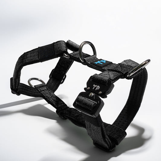 Paw-some Black Dog Harness