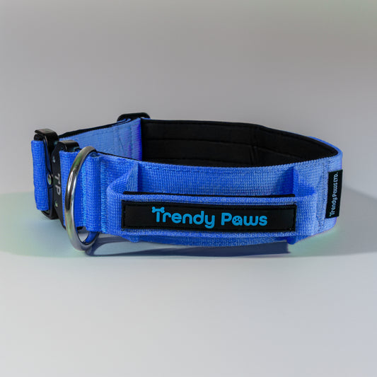 Paw-some Blue Collar