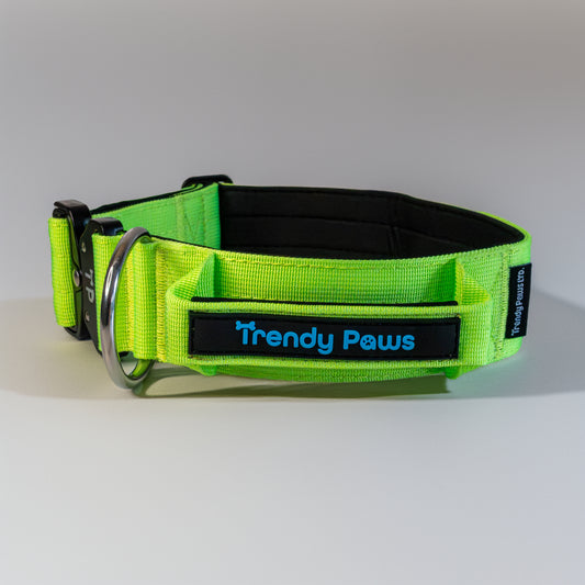 Paw-some Green Collar
