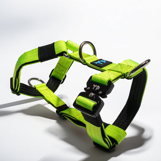 Paw-some Green Dog Harness