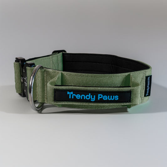 Trendy Paws  Combat  Dog Collar with Safety Handle - Military Green