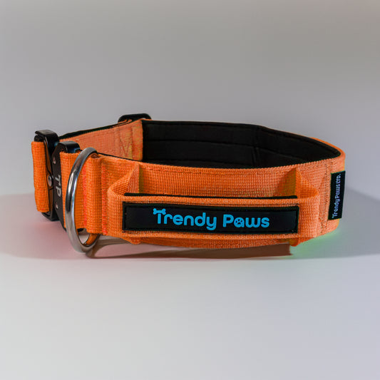 Paw-some Orange Collar