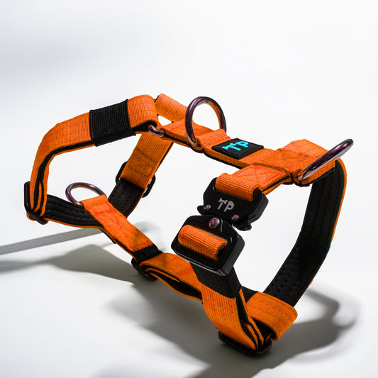 Paw-some Orange Dog Harness