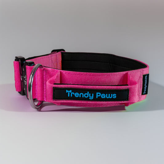 Paw-some Pink Collar