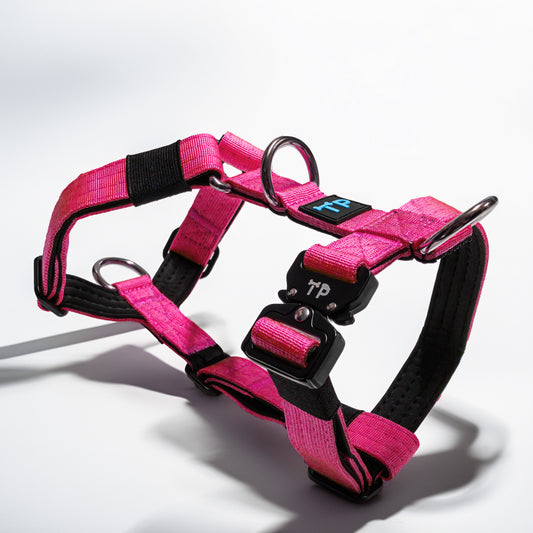 Paw-some Pink Dog Harness