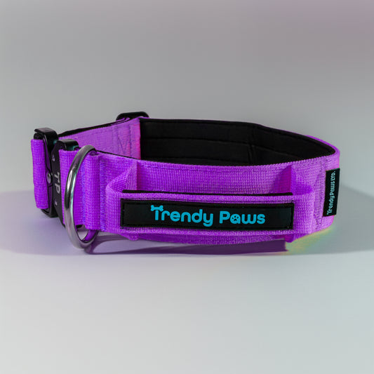 Trendy Paws  Combat  Dog Collar with Safety Handle - Purple