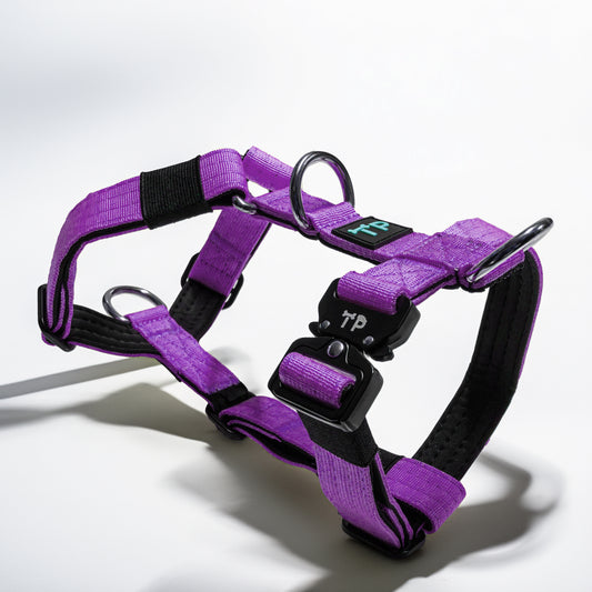 Trendy Paws Tactical Harness - Purple