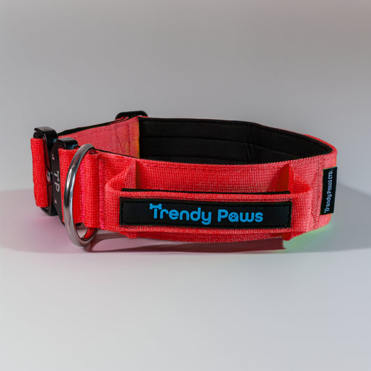 Paw-some Burnt Collar