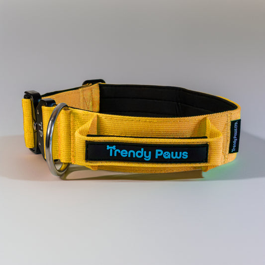 Paw-some Yellow Collar