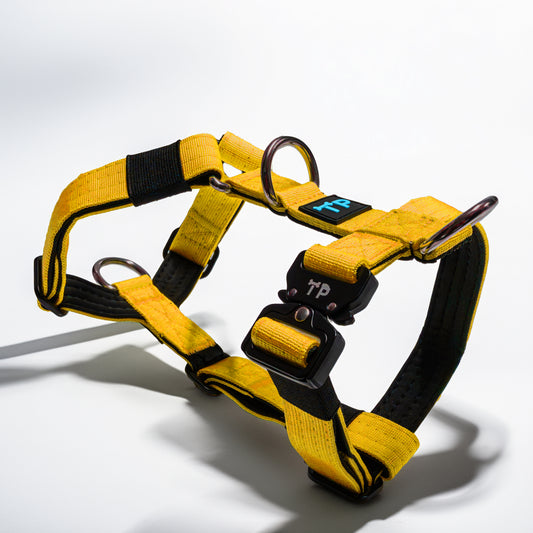 Paw-some Yellow Dog Harness